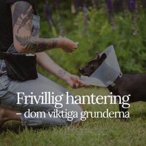 Frivillig hantering: de viktiga grunderna