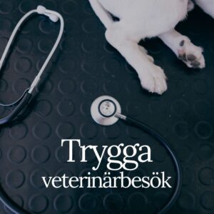 Trygga veterinärbesök