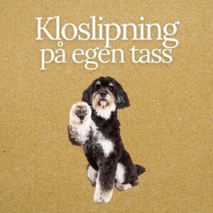 Kloslipning på egen tass