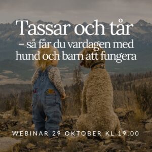 Webinar 29/10: Tassar och tår – så får du vardagen med hund och barn att fungera